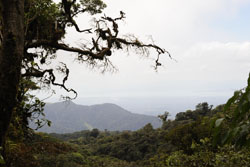 Monteverde uitzicht over het nevelwoud en de Pacific